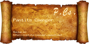 Pantits Csenger névjegykártya